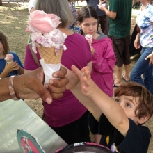 A young boy reaches for pure joy in a waffle cone package; Lemon raspberry twist and blueberry cheesecake from The Chocolate Shoppe during the Orton Park Festival on Sunday, August 26, 2012.