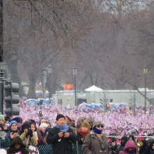 The crowds stretched down the entire length of the Capitol Mall.