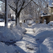 The heavy wet snows bowed many branches and numerous tree arches adorned Marquette Neighborhood sidewalks.