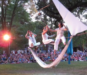 The "Cycropia" tree, a large  oak in Orton used by the aerial dance troupe during Orton Park Festival was spared damage.