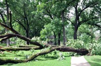 NWS Says Tornado Visited Marquette Neighborhood