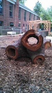 This example of a natural play structure is  at Madison's Woodland Montessori School. Courtesy: WMS